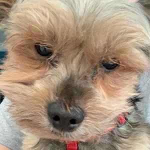 Meet your Posher, Joanna